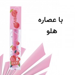 برق لب مایع گابرینی مدل Peaches fresh برق لب مایع گابرینی مدل Peaches fresh